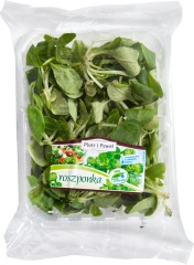 Piotr i Paweł-roszponka 