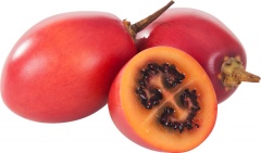 Tamarillo czerwone Kolumbia 