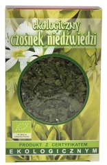 Czosnek niedźwiedzi 