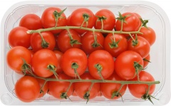 Pomidor czerw.koktajlowy 500g - Maroko / Włochy 