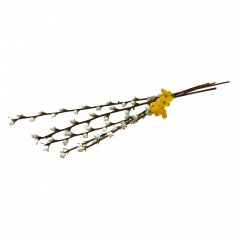 Bazie duże z listkami