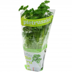 PIETRUSZKA DONICZKA POLSKA 1SZT BAZIÓŁKA