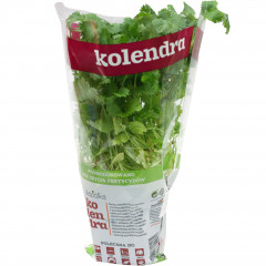 Zioła świeże Baziółka kolendra 