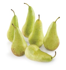 Gruszka zielona 