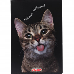 Zeszyt Herlitz a4 60k kratka crazy animals 