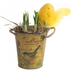 Narcyz w metalowej doniczce + dekoracja 