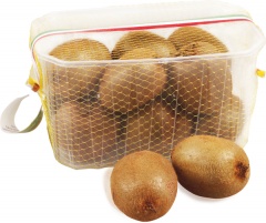 Kiwi kosz 