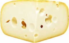 Ser maasdam rondeur jansen 