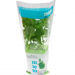 MIĘTA DONICZKA POLSKA 1SZT BAZIÓŁKA