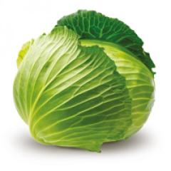 Kapusta młoda 