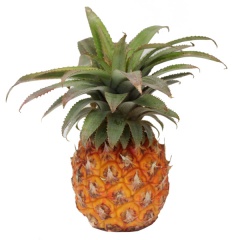 Ananas baby kal.10 