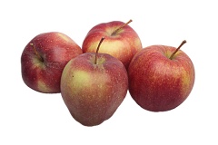 Jabłka gloster 
