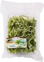 Piotr i Paweł-rucola 