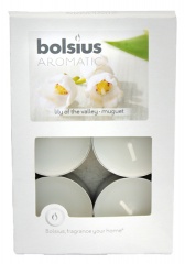 Podgrzewacz zapach konwalia 6szt/op 