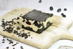 Sernik dalmatyńczyk kg 