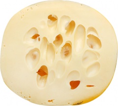 Ser Szwajcar Królewiecki z Podlasia 