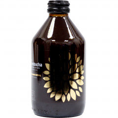 Kombucha Vigo Yerba Mate butelka 