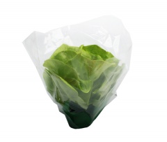 Sałata masłowa kostka - polska 