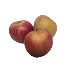 Jabłka boskop/szara reneta 