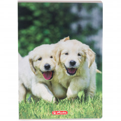 Zeszyt Herlitz A4 32 linia podwójna Animals