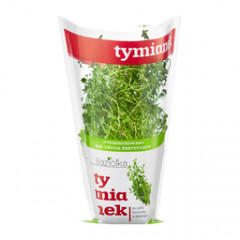 TYMIANEK DONICZKA POLSKA 1SZT BAZIÓŁKA