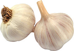 Czosnek 