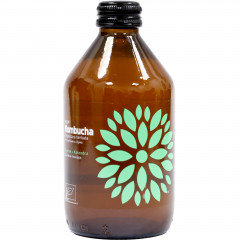 Kombucha Vigo ogórek + kolendra butelka 