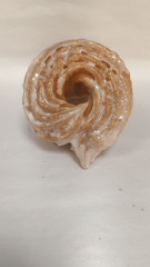 Pączek Ozdowscy wiedeński 90g 