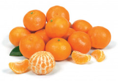 Mandarynka układana kg kal 1/2 