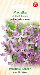 Maciejka ( nasiona ) 