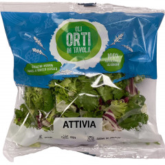 Sałata mix Ori Orti in Tavola Attivia 