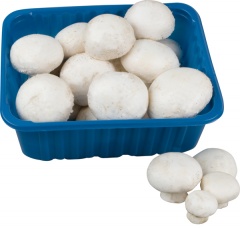 Pieczarka (pudełko 500g) 