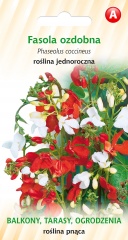 Fasola ozdobna (Phaseolus coccineus) 