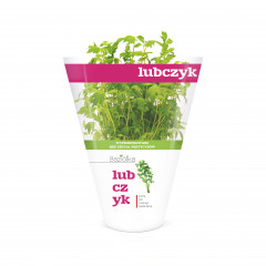 LUBCZYK DONICZKA POLSKA 1SZT BAZIÓŁKA