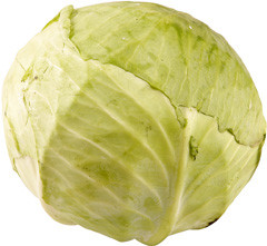 Kapusta biała kg 