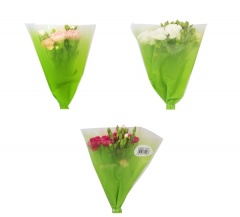 Goździk cięty 10 szt 