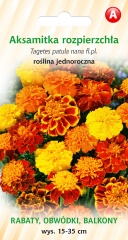 Nasiona Aksamitka Rozpierzchła 