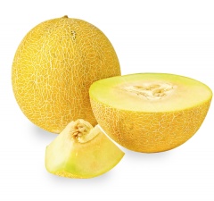 Melon Galia 