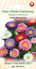 Aster chiński bukietowy (Callistephus chinensis) 