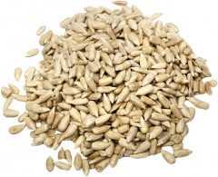 Słonecznik łuskany 