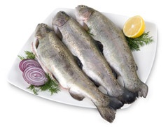 Pstrąg patroszony świeży 