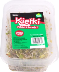 Kiełki rzodkiewki 