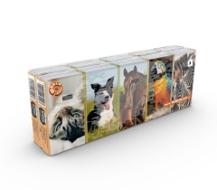 KING OF ANIMALS Chusteczki higieniczne pakiet 10x10 sztuk 3-warstwowe