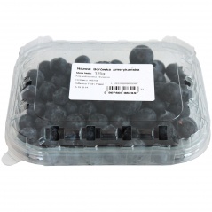 Borówka amerykańska 