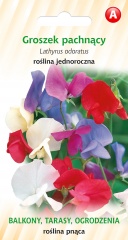 Groszek pachnący ( nasiona ) 