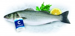 Labraks patroszony świeży 