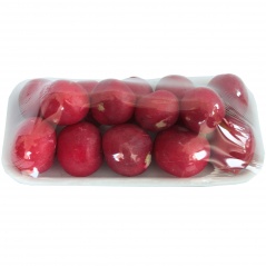 Rzodkiewka - kedymex 