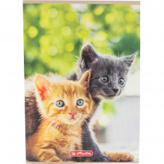 Zeszyt herlitz w kratkę A5 16 kartek animals 