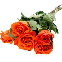 Bukiet kwiatów Róża 5 szt. 