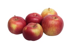 Jabłka idared 